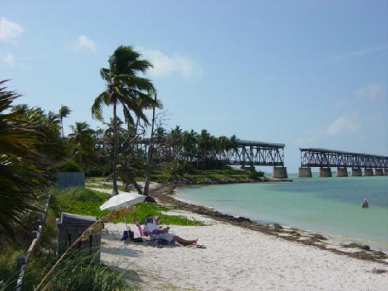 Bahia Honda is an excellent place to see wading birds and shorebirds.