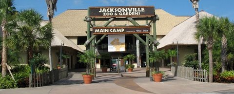 Jacksonville Zoo Is Almost 100 Years Old