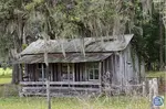 150 Micanopy West