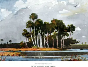 Winslow Homer Homosassa
