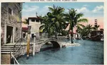 Coral Gables Venetian Pool Poscard