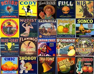 Florida Citrus Label Collage