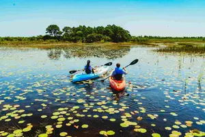 Kayaking at Savannas Preserve State Park