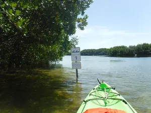 Kayaking at Weedon Island Preserve