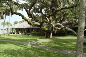 Princess Lodge and Tree