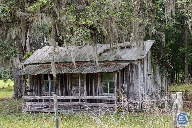 Sharecropper Cottage West of Micanopy