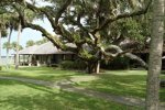 Princess Lodge and Tree