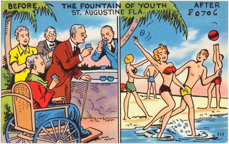 staugustinefountainyouthpostcard.jpg