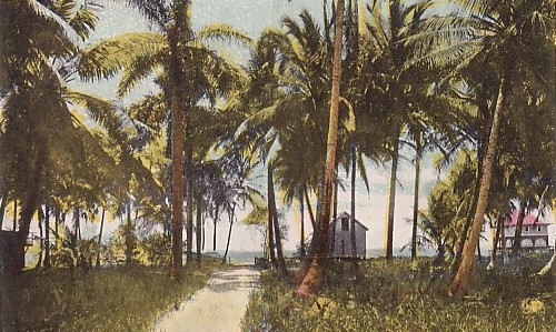 20130701Miami Yacht Club Coconut Grove 20130701Miami Yacht Club Coconut Grove