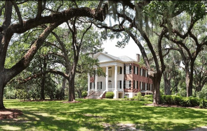 African American The Grove