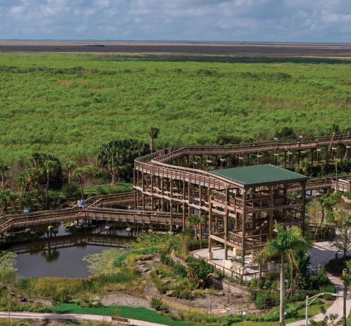 Alligator Alley Observation Tower