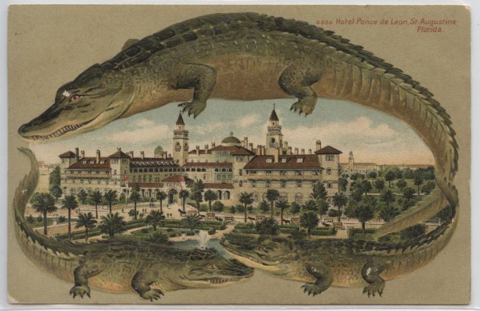 Alligator Border Hotel Ponce de Leon
