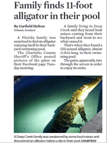 11 Best Places To See Alligators In Florida