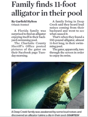 11 Best Places To See Alligators In Florida 11 Best Places To See Alligators In Florida