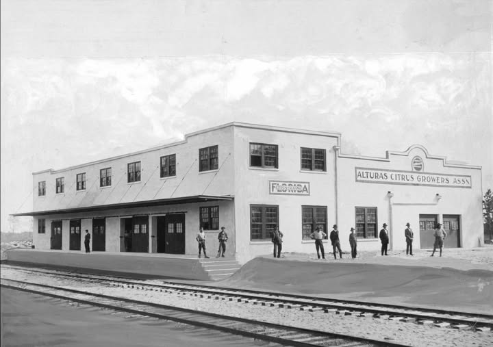 Alturas Citrus Growers Assn