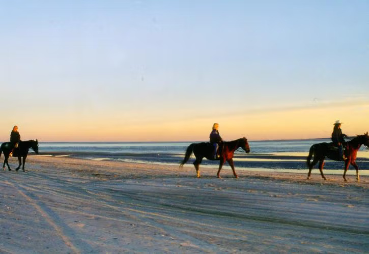 Horseback riding at Amelia Island State Park
