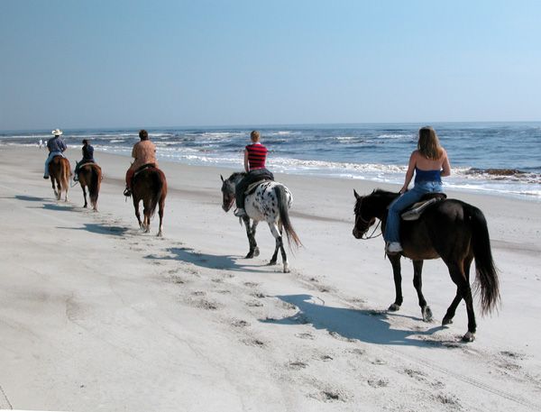 Horseback Riding on Amelia Island