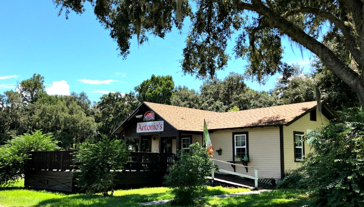 Antonios, Micanopy, Florida