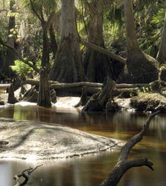 Telegraph Creek, Babcock Ranch