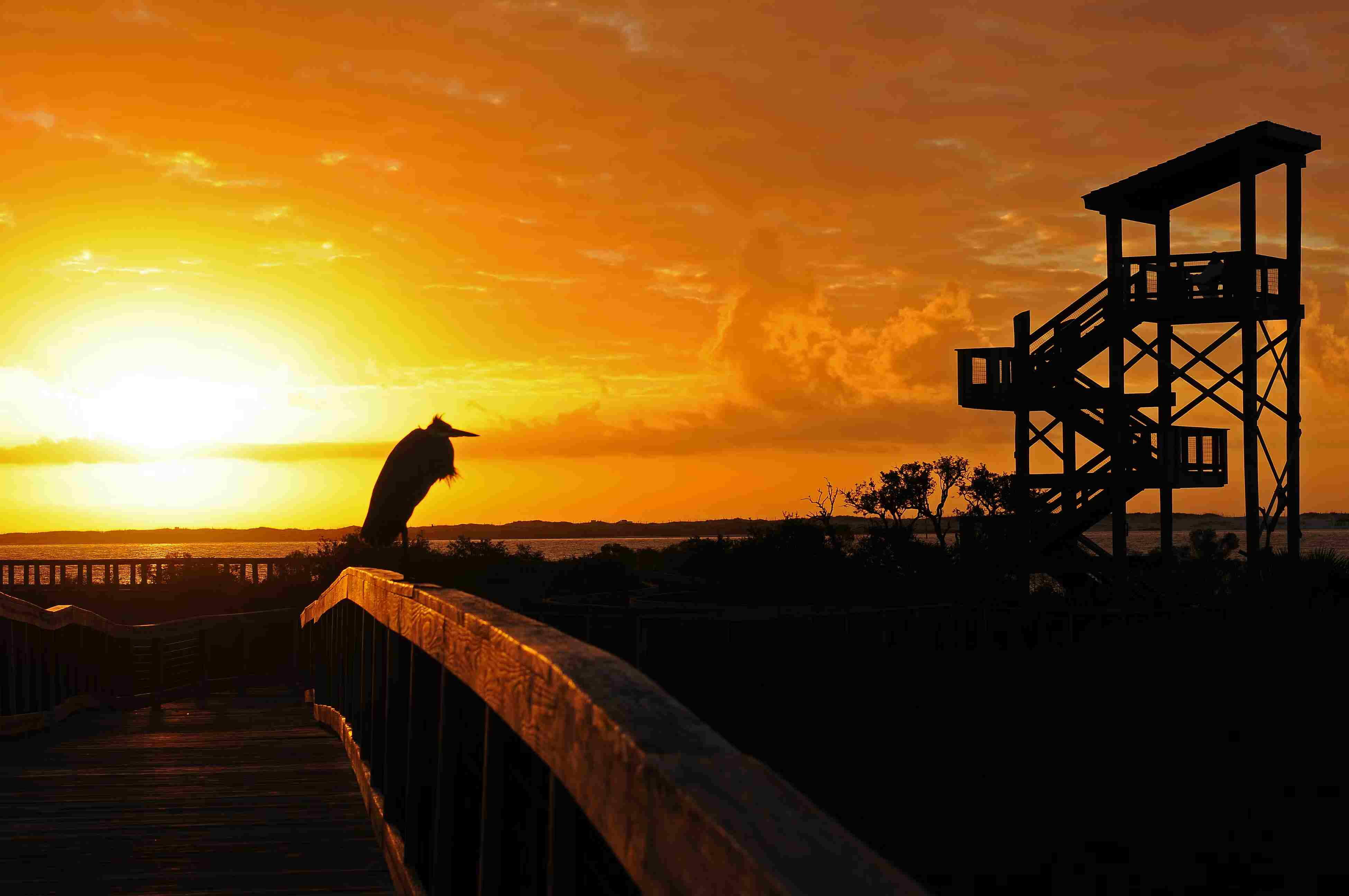 Observation Tower at Big Lagoon State Park