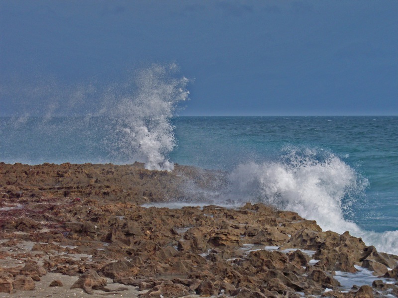 Blowing Rocks Preserve on Jupiter Island