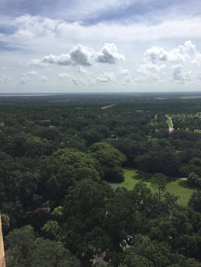 View From Bok Tower