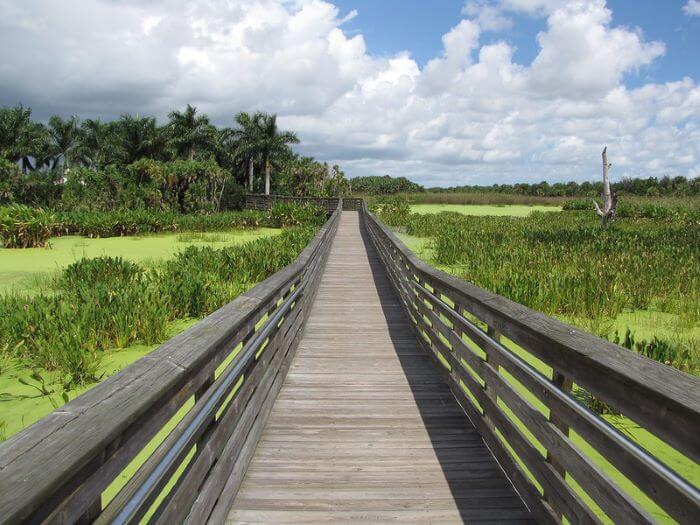 Boardwalk at Green Cay Wetlands, Boynton Beach