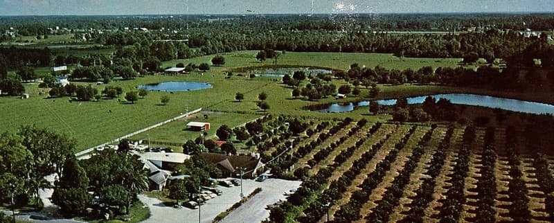 Branch Ranch Dining Room Plant City Favorite Is Missed