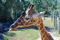 Brevard Zoo, Melbourne, Florida