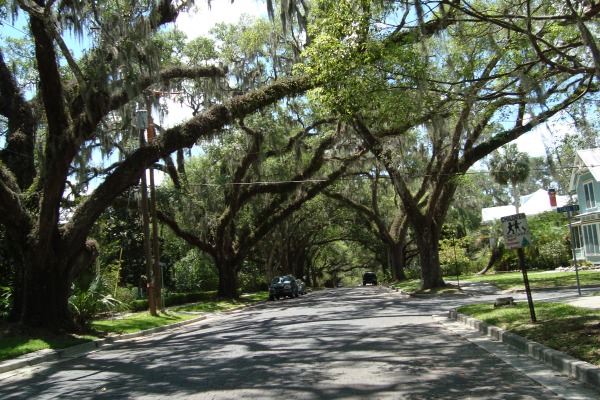 Brooksville Avenue