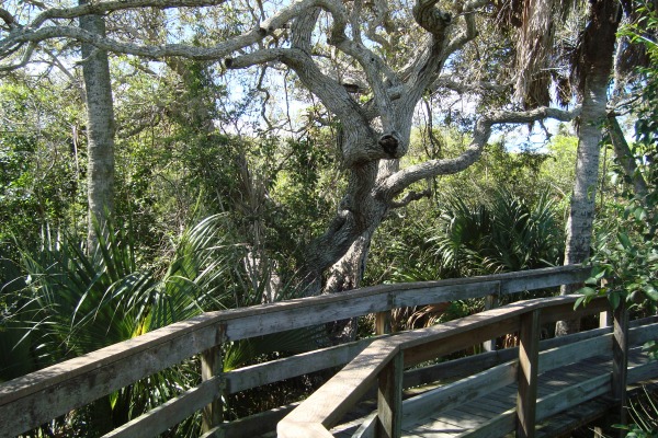 Canaveral National Seashore Walkway to top of Turtle Mound