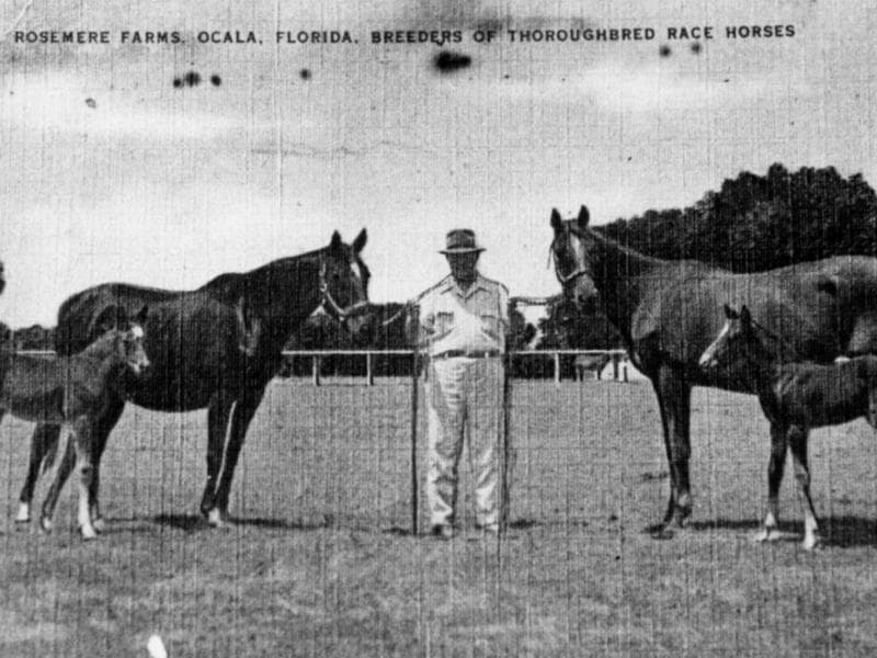 Carl Rose and Horses