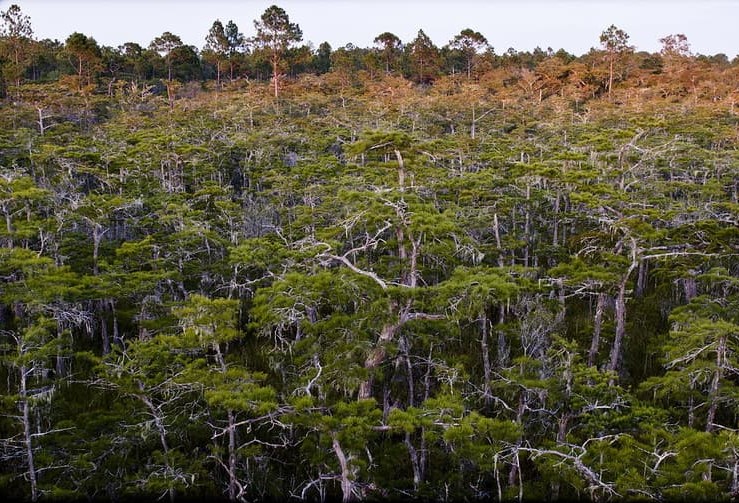 Carrabelle Tates Hell