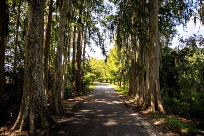 Casselberry Secret Lake Park