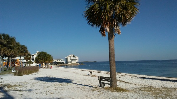 Beach in Downtown Cedar Key