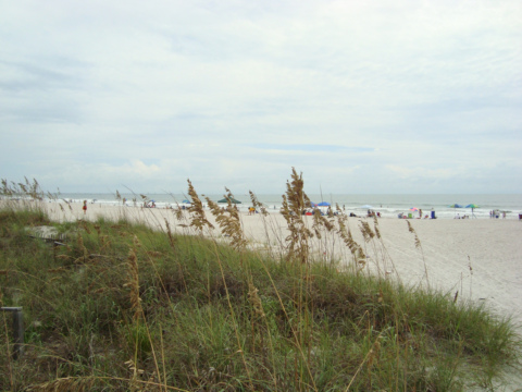 Cherie Down Park Beach with sea oats in foreground