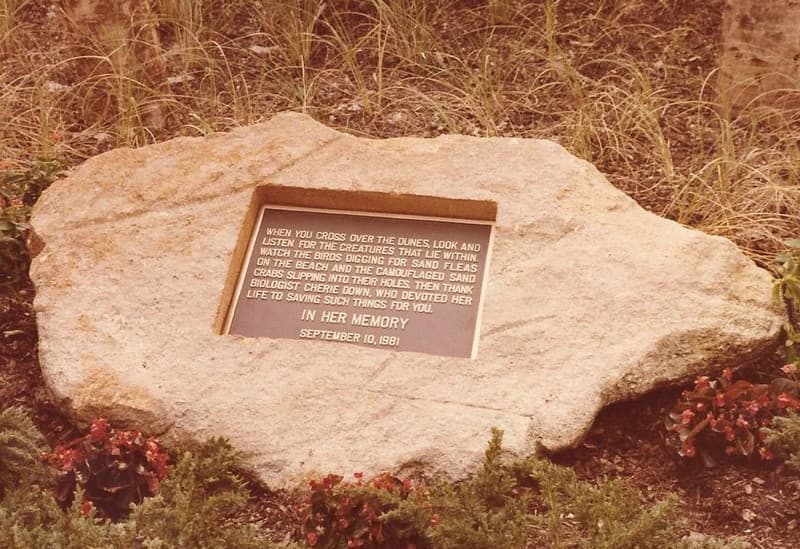 Cherie Down Park Memorial Plaque