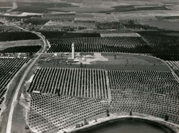 Citrus Tower Early Photo