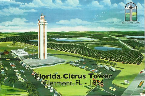 Citrus Tower Postcard 1956