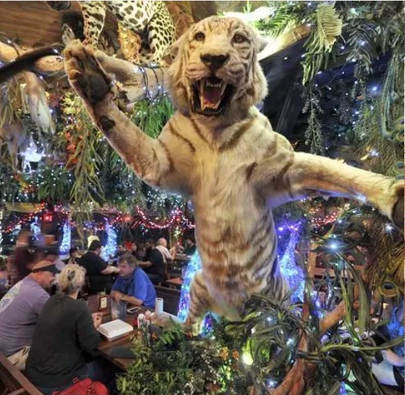 Clark's Fish Camp Dining with Tiger