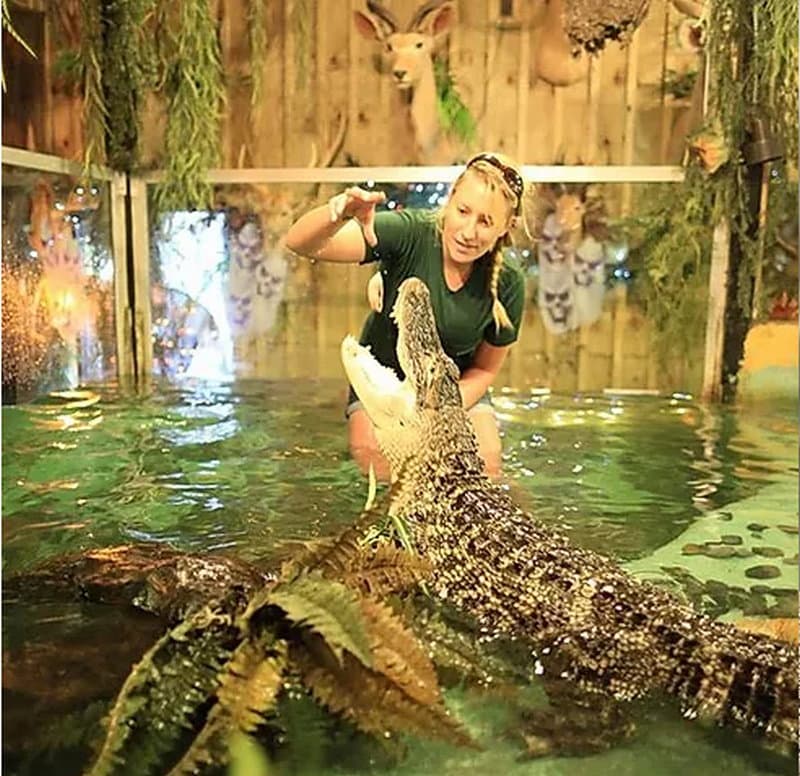 Clark's Fish Camp Alligator Feeding