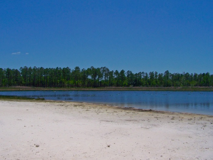 Paisley, Florida Small Town Roots of Walt Disney