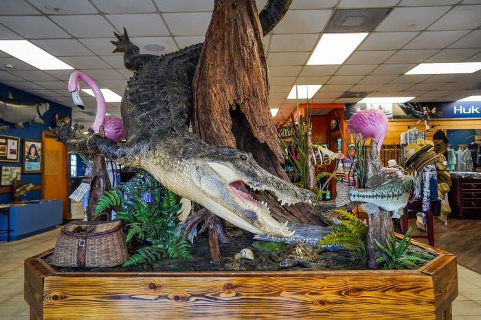 Clewiston Roland Martins Clewiston Roland Martins