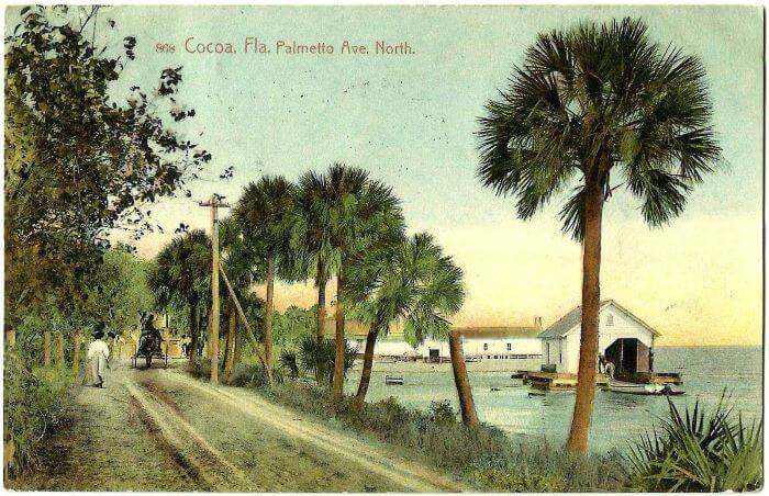 Cocoa Palmetto Ave Postcard