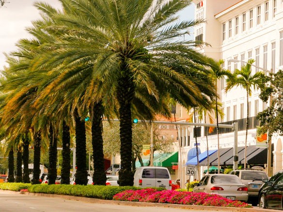Coral Gables Miracle Mile