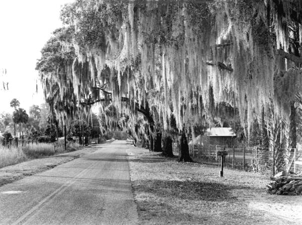 Road into Cross Creek in 1965