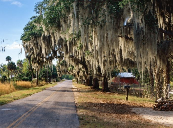 Cross Creek 1965 re Grok Colorized