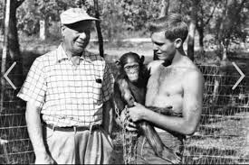 Comedian Bert Lahr, Chimp, and Peter Karsner