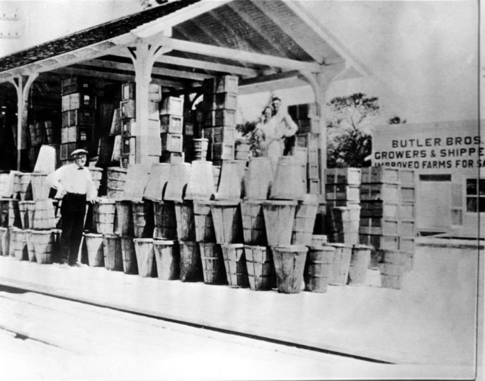 Produce at the Railroad Depot Deerfield Beach