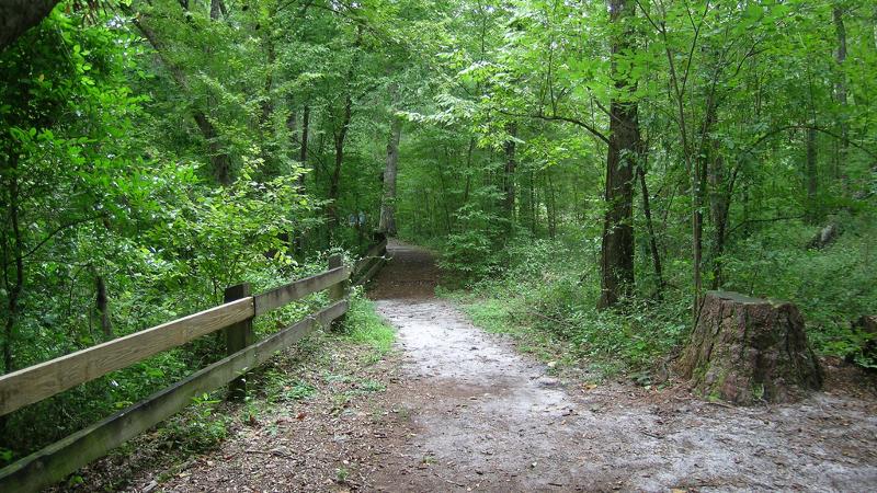 Devils Millhopper Nature Trail